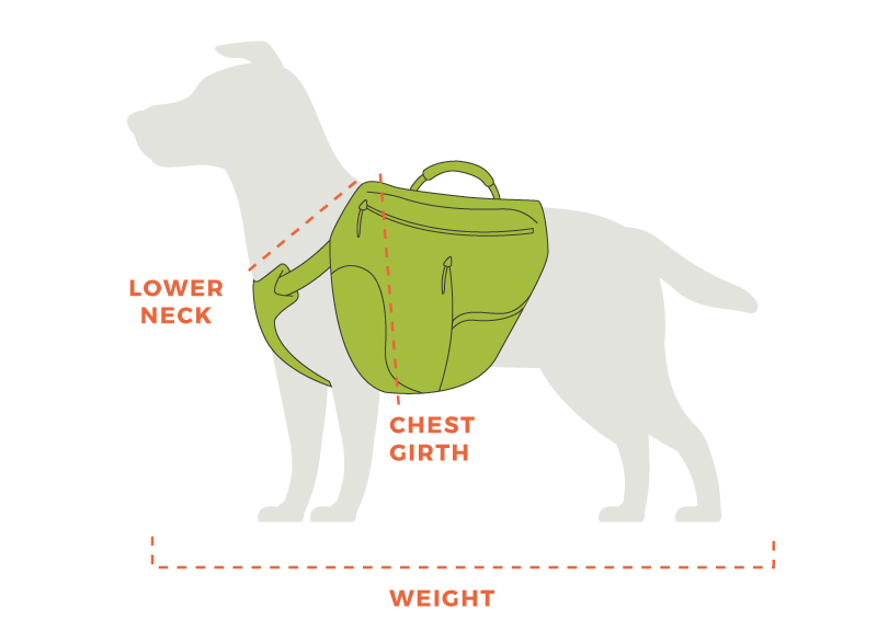 Best Dog Backpacks Reviewed By Real Adventure Dogs